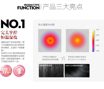 【褚铁匠专业美发理发吹风机 大功率电吹风 恒温负离子护发 8819】价格,厂家,图片,电吹风/吹风机,天台县煌明贸易-