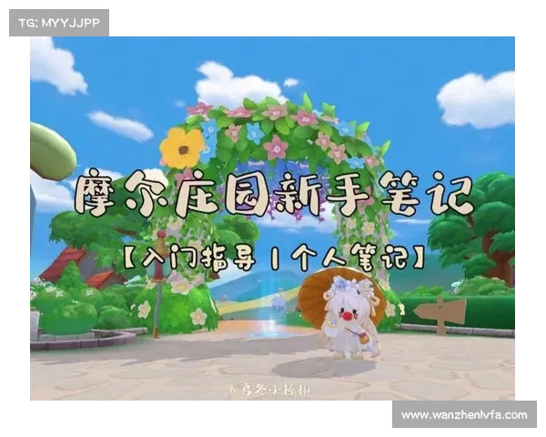 摩尔庄园邻居申请全流程解析及注意事项详细指南 摩尔庄园邻居申请全流程解析及注意事项详细指南