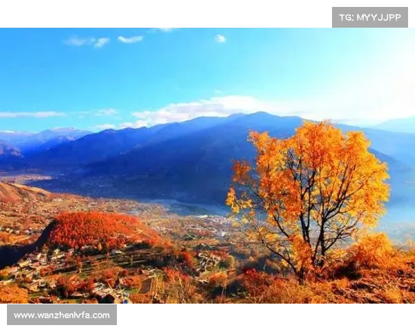 探索轻风山秘境之旅揭秘从王国出发的最佳登山线路推荐 探索轻风山秘境之旅揭秘从王国出发的最佳登山线路推荐