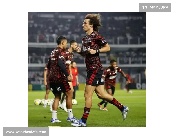 大卫路易斯未能入选国家队的深层原因与背后影响解析